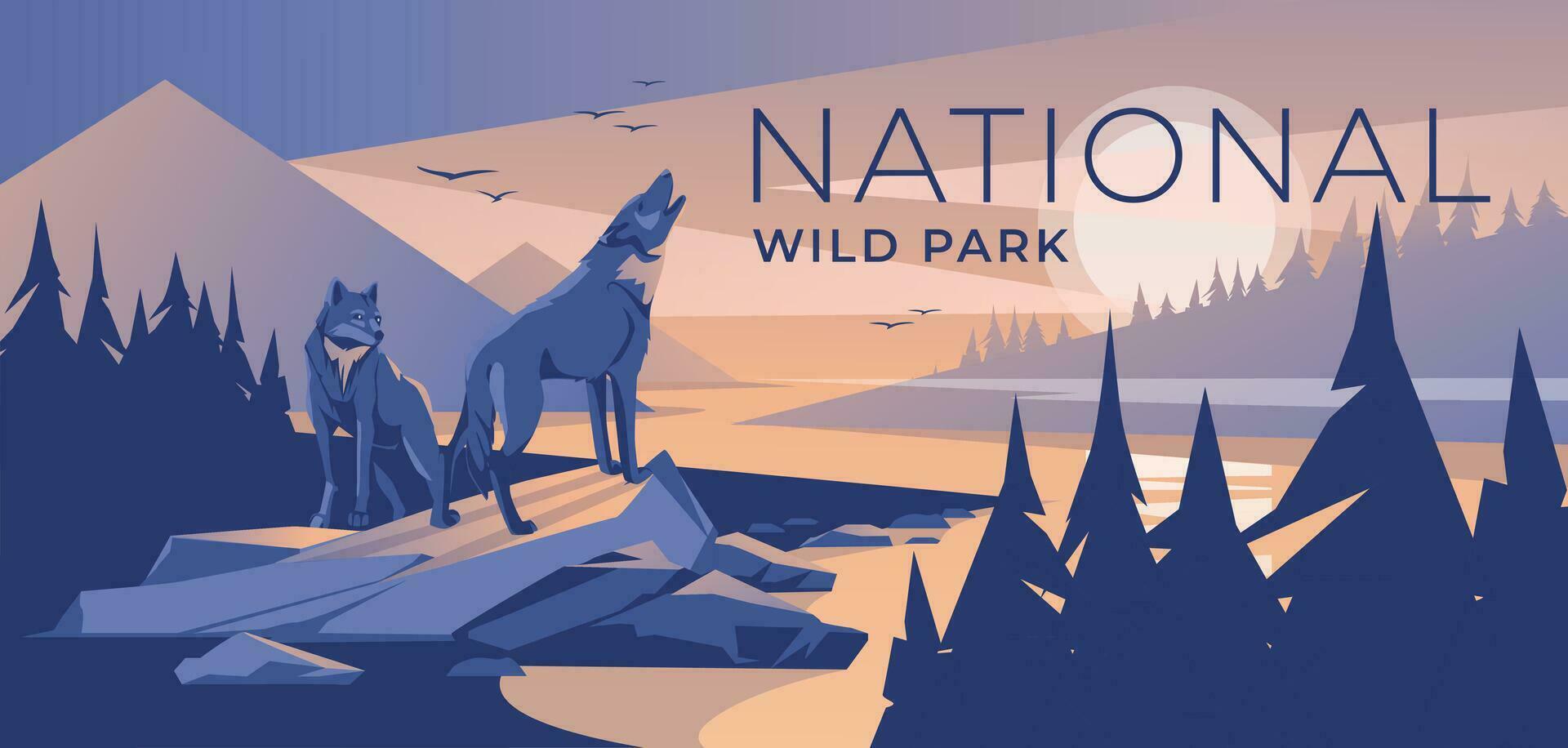 dois Lobos dentro uma montanha conífero floresta em a banco do uma rio. crepúsculo azul pôr do sol. selvagem natural parque. vetor ilustração