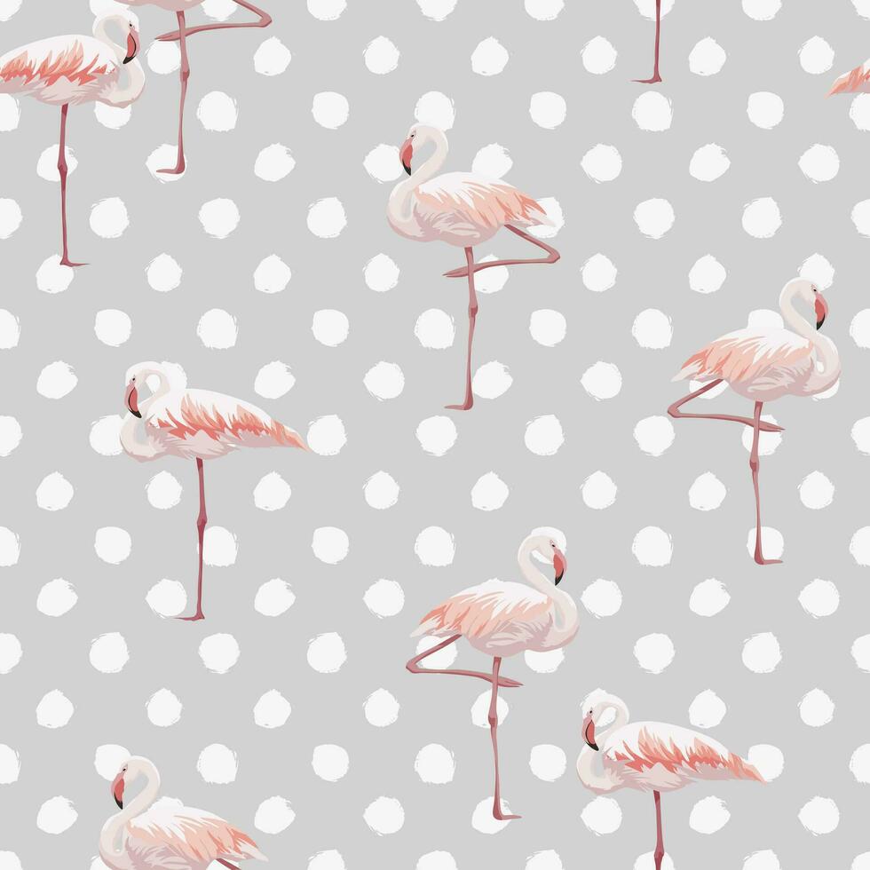 flamingo desatado padronizar com Rosa flamingos em polca ponto fundo vetor