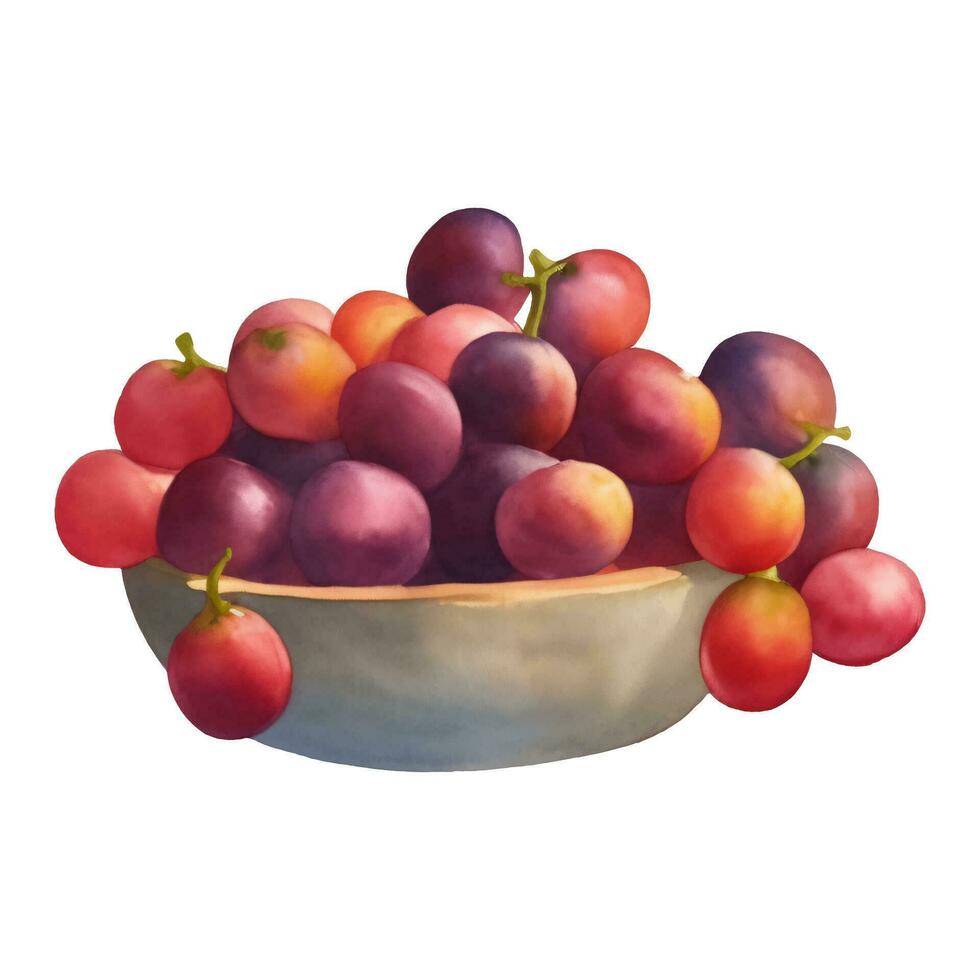 roxa uvas em tigela isolado mão desenhado pintura ilustração vetor