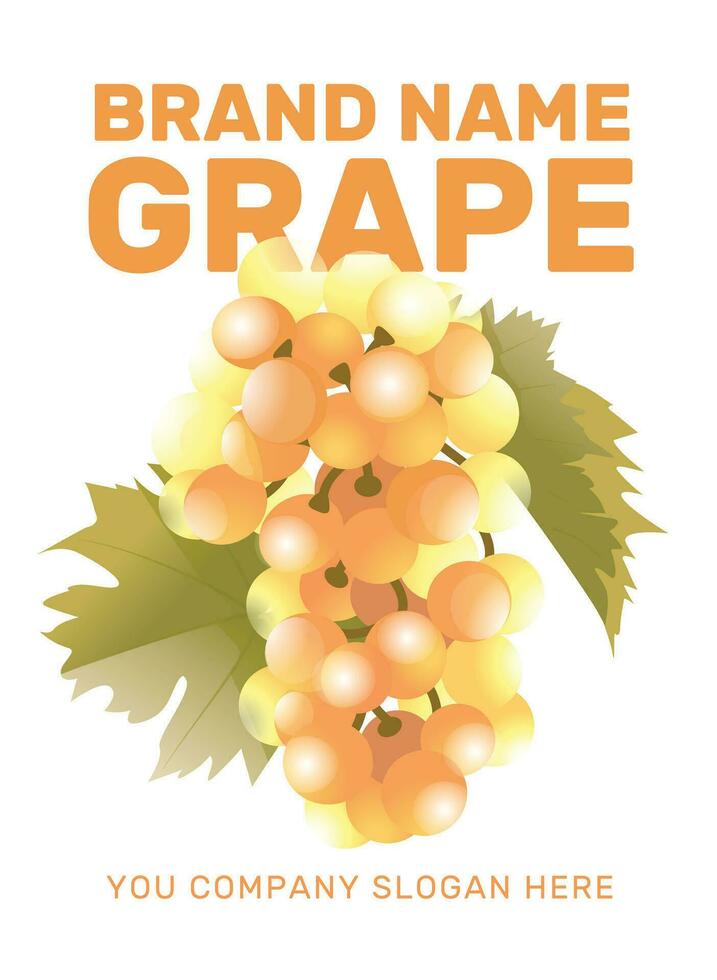 uma ramo do branco uvas contra a fundo do a do sol raios. vinho, vinificação, agricultura, colheita. vetor ilustração