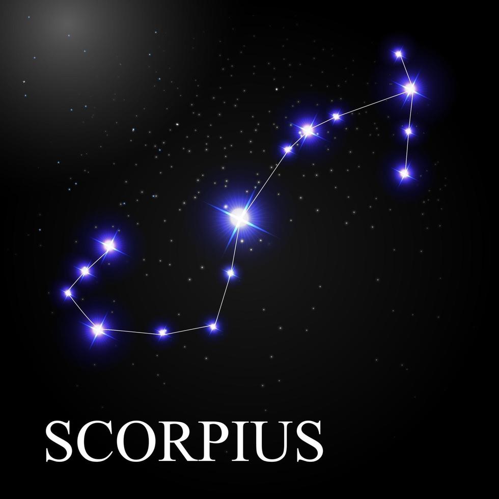 Ilustração vetorial Scorpius signo com belas estrelas brilhantes no fundo do céu cósmico vetor