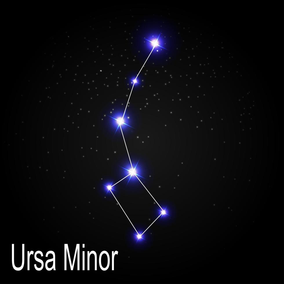 Ursa Menor constelação com belas estrelas brilhantes no fundo do céu cósmico ilustração vetorial vetor