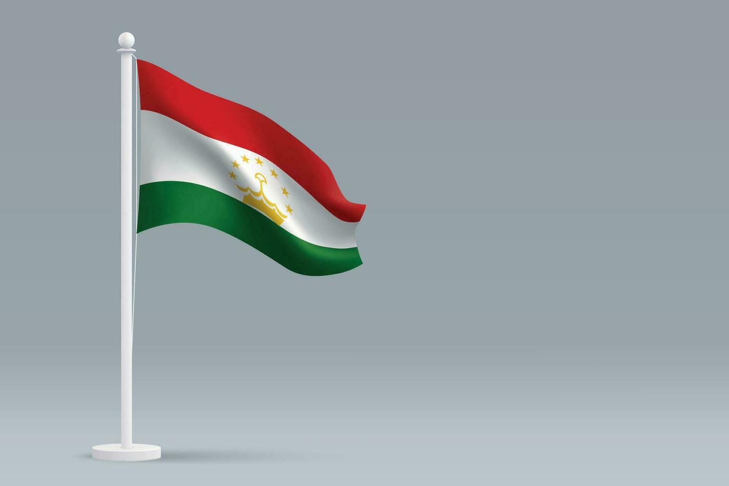 3d realista nacional tajiquistão bandeira isolado em cinzento fundo vetor