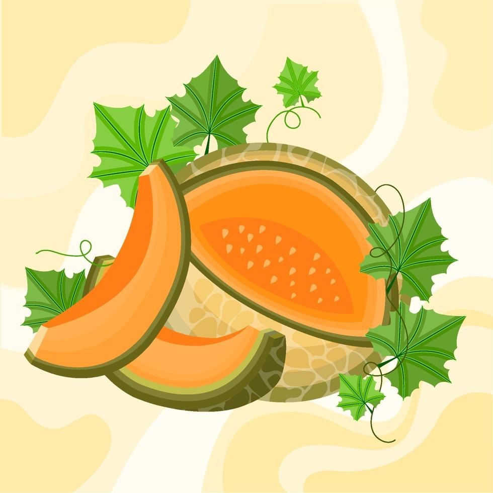 ilustração de fruta melão vetor