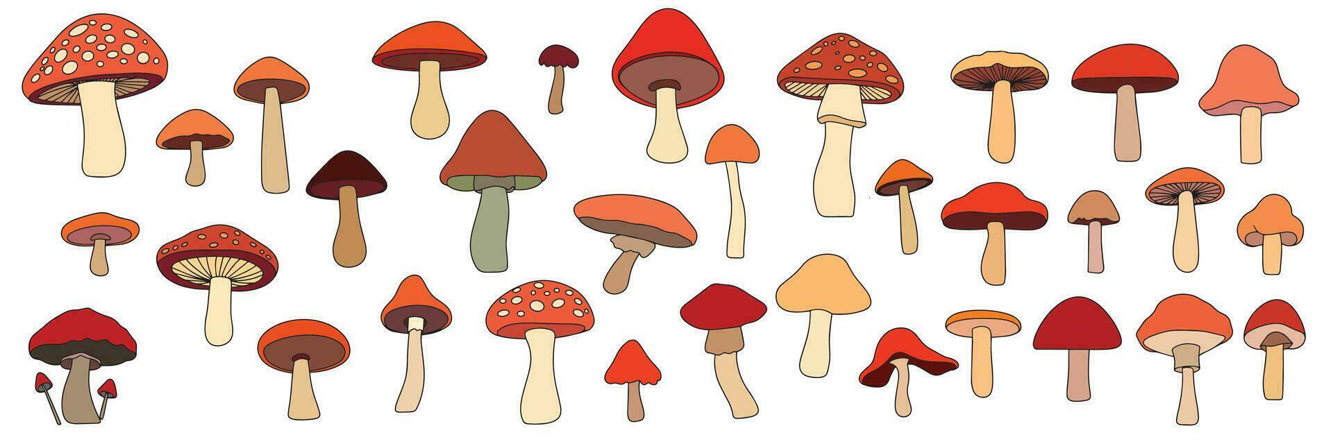 conjunto do cogumelos colori contorno. mão desenhado cogumelo dentro rabisco estilo. cogumelos com contorno. vetor ilustração.