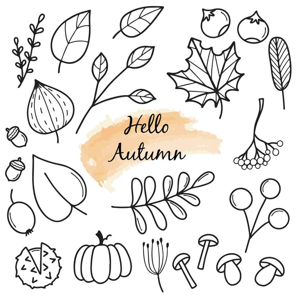 Olá outono. outono colheita símbolos. conjunto do outono elementos folhas, bagas, frutas, vegetais, cogumelos, nozes. desenhado à mão, esboço. vetor ilustração dentro rabisco estilo