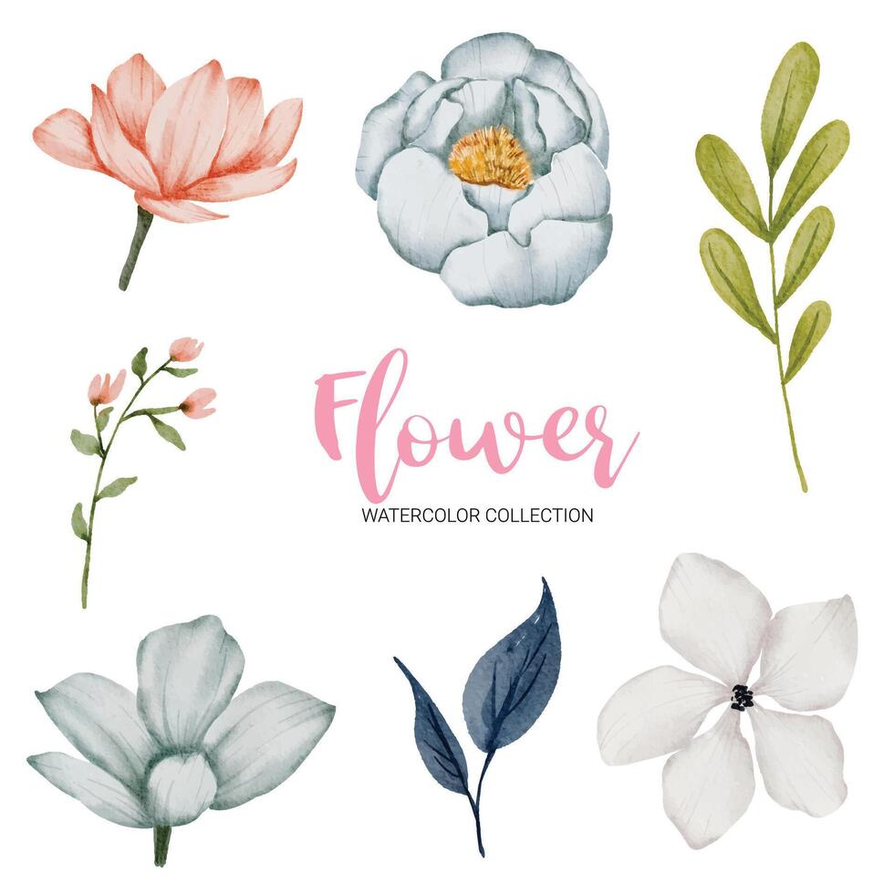 muitos tipos de lindas flores em aquarela vetor