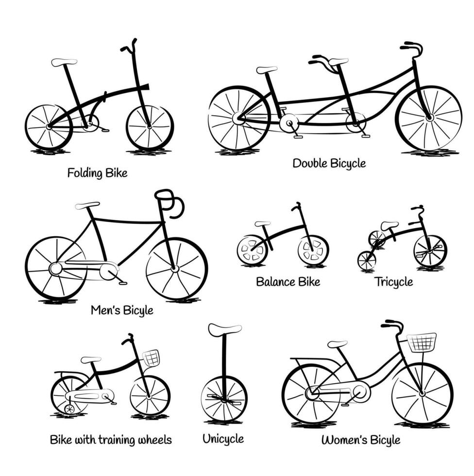 diferente tipos do bicicleta vetor dentro rabisco estilo isolado em branco fundo. mão desenhado veículos ilustração. vocabulário do tipos do bicicletas para criança e adulto