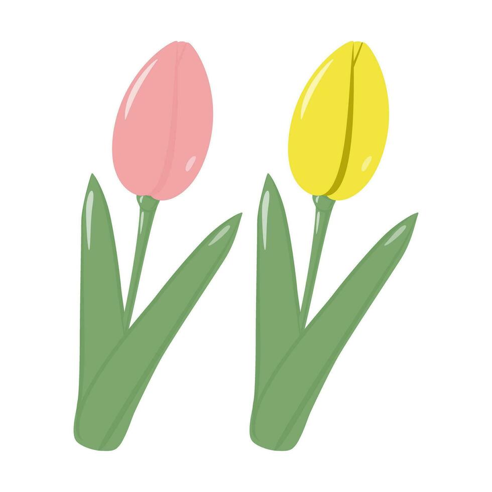 conjunto do 2 florescendo tulipa flores para buquês dentro na moda cores. Olá Primavera. adesivo. ícone. isolar vetor