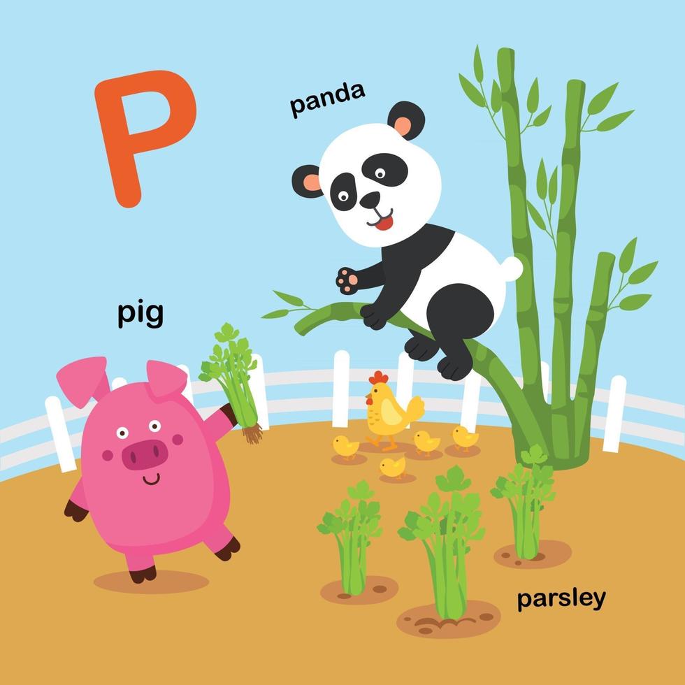 ilustração isolada letra do alfabeto p-panda, salsa, porco. vetor