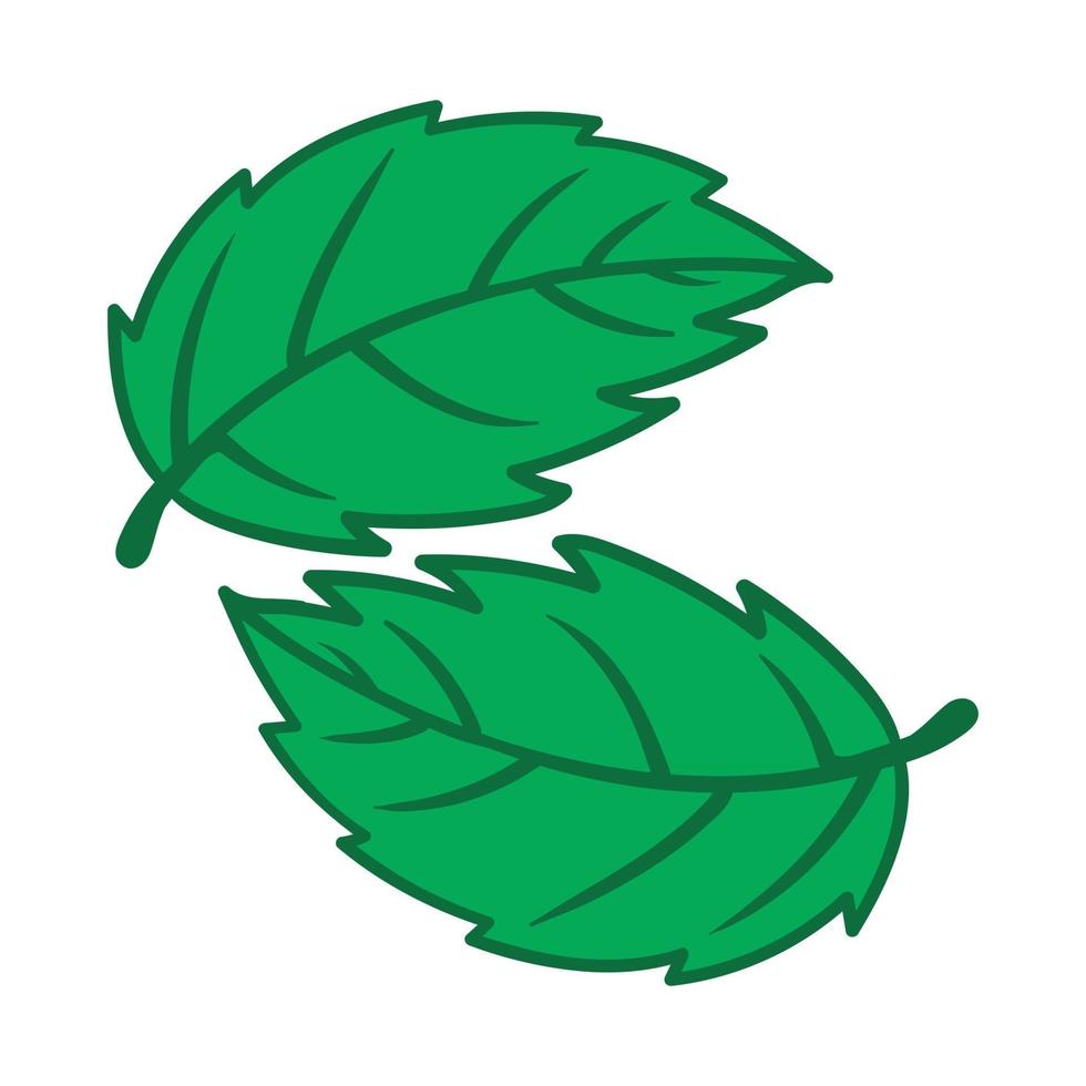 folha verde hortelã, ilustração vetorial planta hortelã vetor