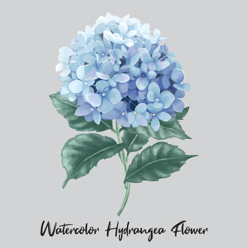 flor de hortênsia em aquarela vetor