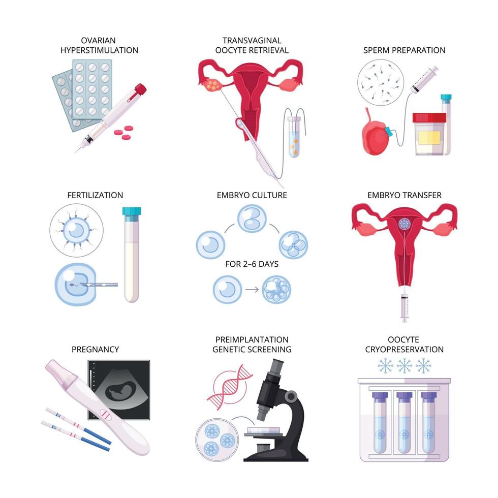 ilustração vetorial conjunto de ícones de ivf de fertilização in vitro plana vetor