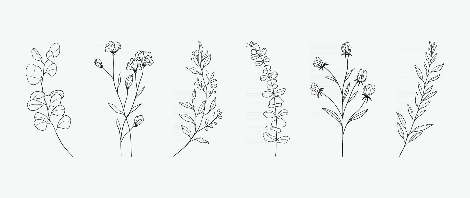 design de desenho de mão botânica mínima para logotipo e convite de casamento. arte de linha floral. flores e folhas projetam coleção para decoração de buquês, cartão e fundo de embalagem. vetor