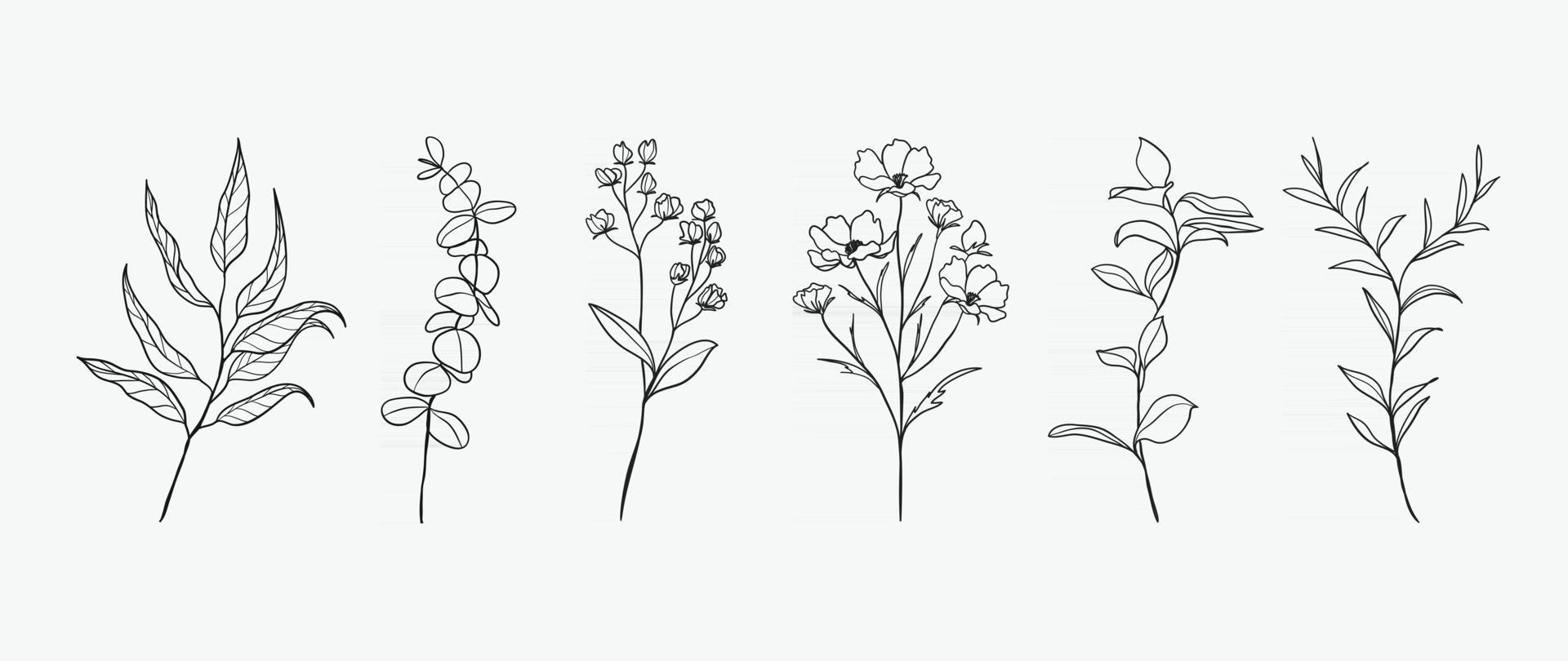 design de desenho de mão botânica mínima para logotipo e convite de casamento. arte de linha floral. flores e folhas projetam coleção para decoração de buquês, cartão e fundo de embalagem. vetor