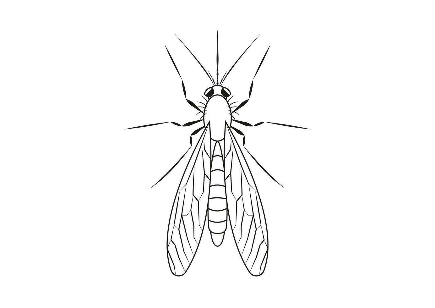 Preto e branco mosquito clipart. coloração página do uma mosquito vetor