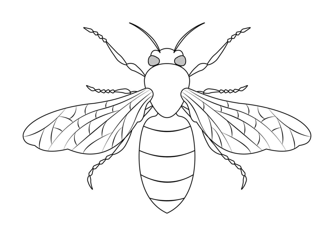 Preto e branco abelha vetor clipart. coloração página do uma abelha