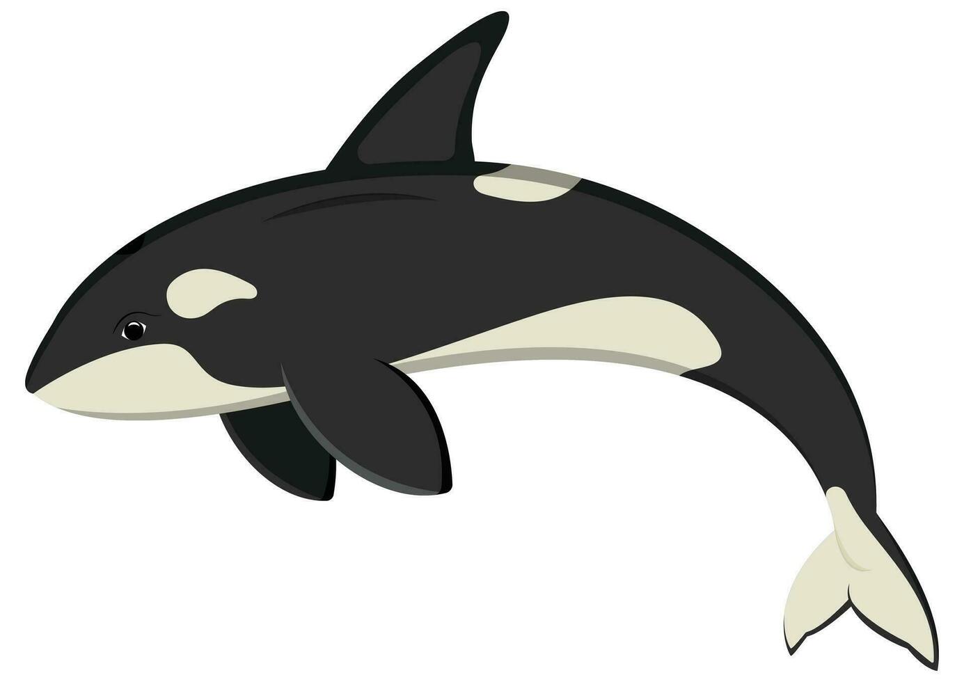 oceano orca desenho animado personagem. vetor ilustração do assassino baleia isolado em branco fundo