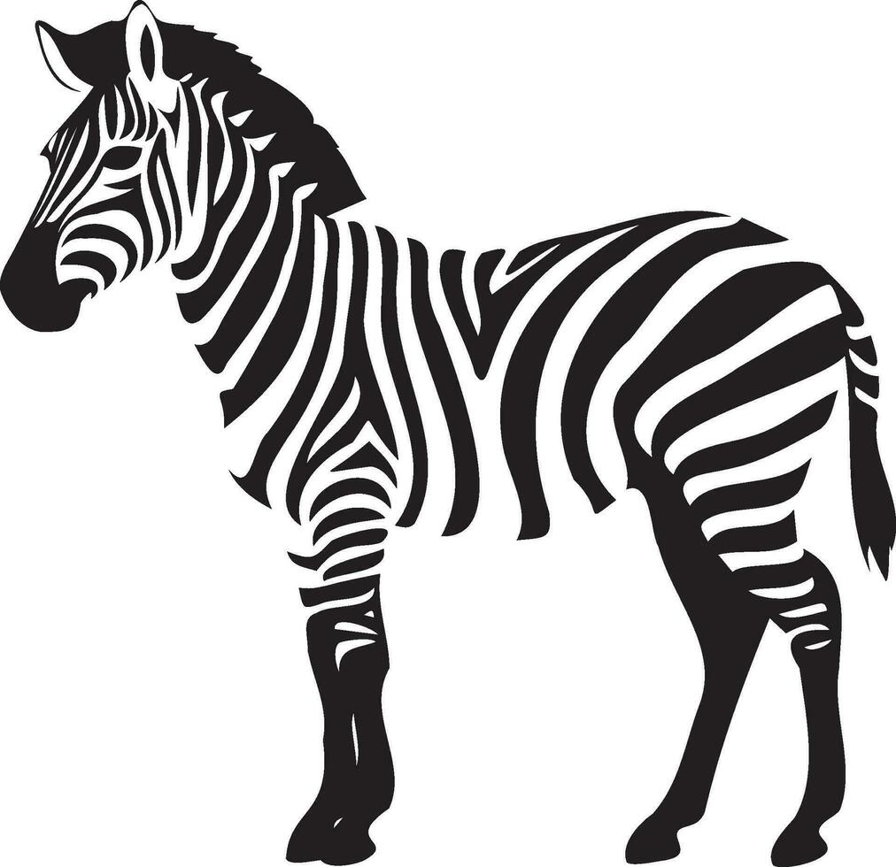 zebra em uma branco fundo vetor