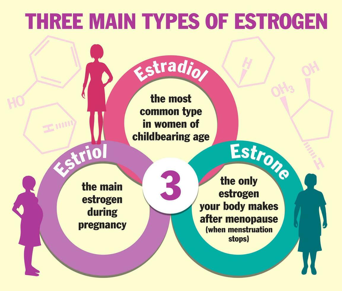 três a Principal tipos do estrogênio. infográficos. estradiol, estrona e estriol. estrogênio hormônio níveis gráfico, menopausa. estrogênio hormônio conceito vetor