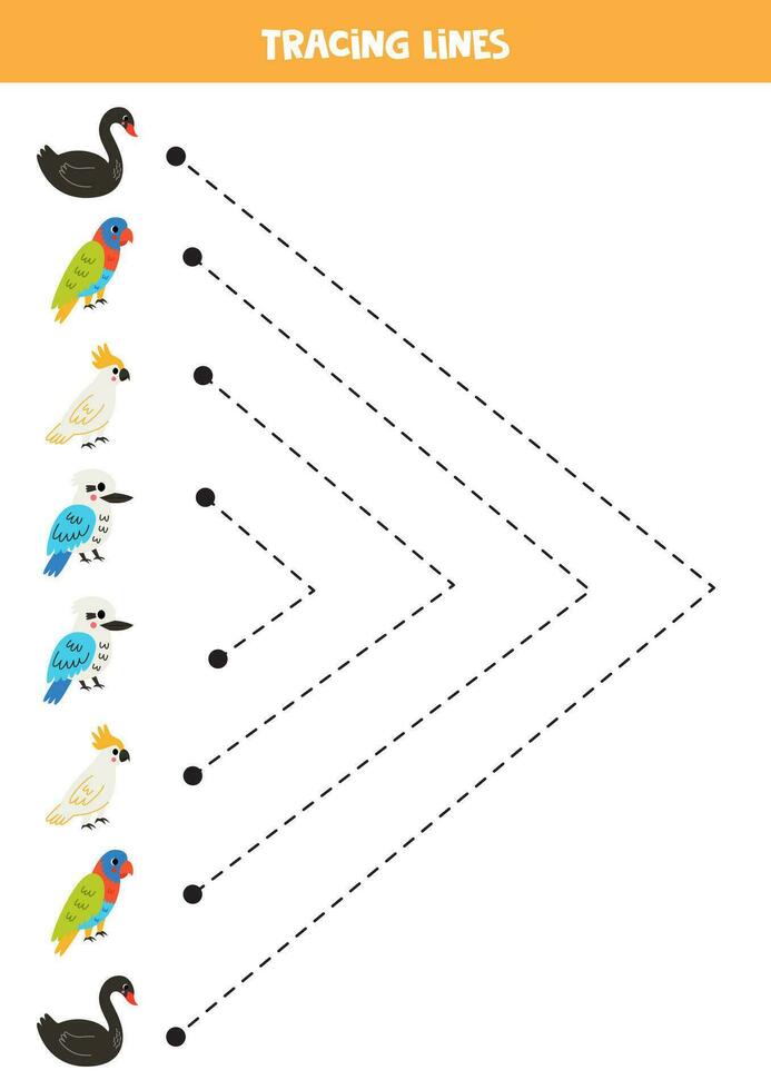 rastreamento linhas para crianças. australiano pássaros. caligrafia prática. vetor