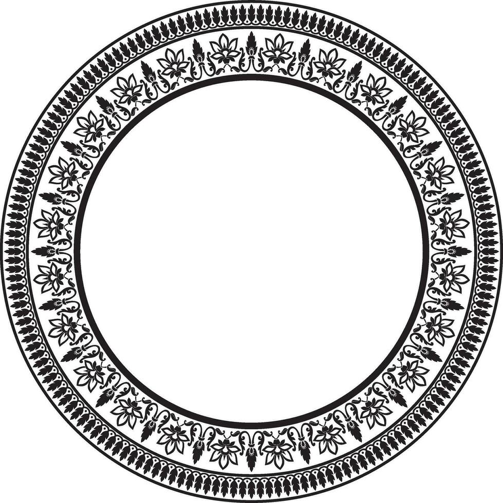 vetor volta monocromático Preto indiano nacional ornamento. étnico plantar círculo, fronteira. quadro, flor anel. papoilas e folhas