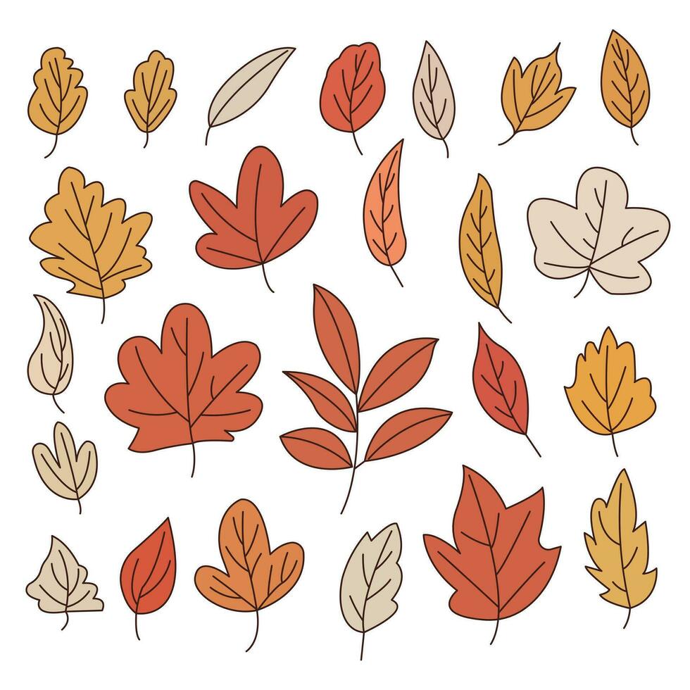 mão desenhado colorida outono folhas coleção definir. simples desenho animado plano estilo. vetor ilustração.