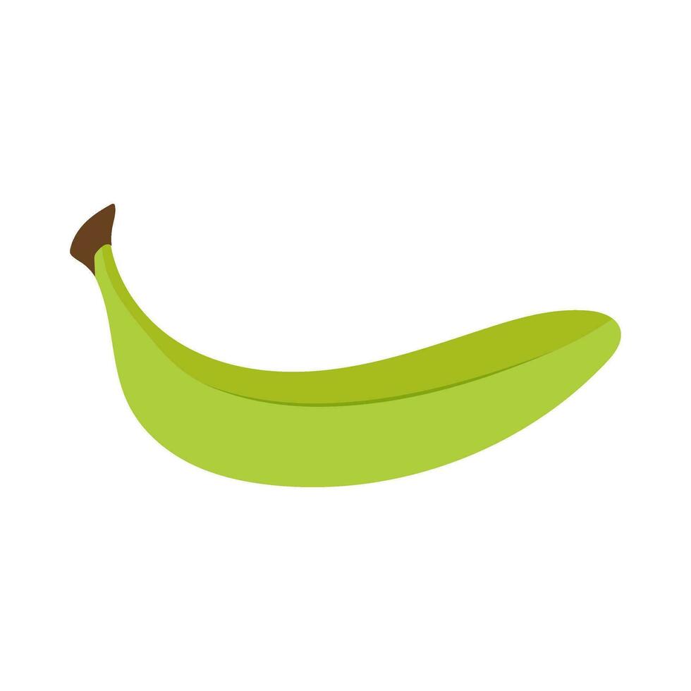 vetor ilustração do uma verde banana em uma branco fundo.