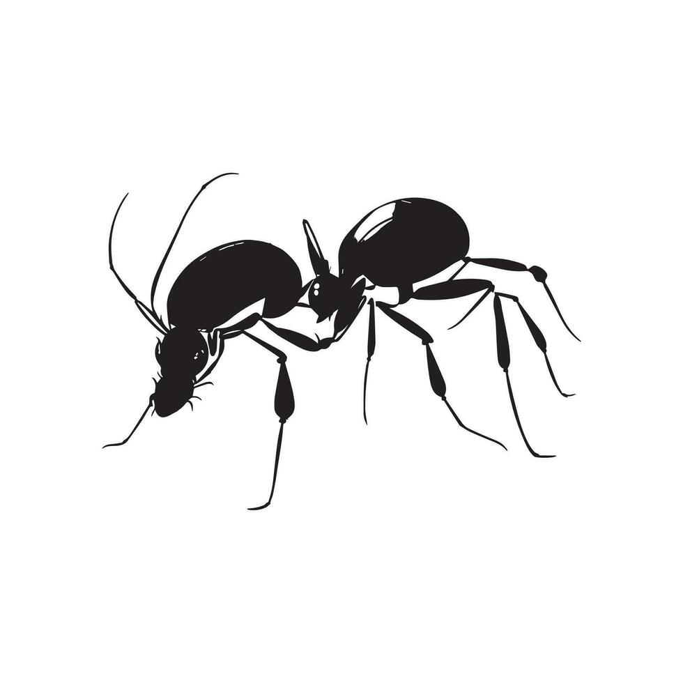vetor imagem mão desenhando formiga esboço ilustração