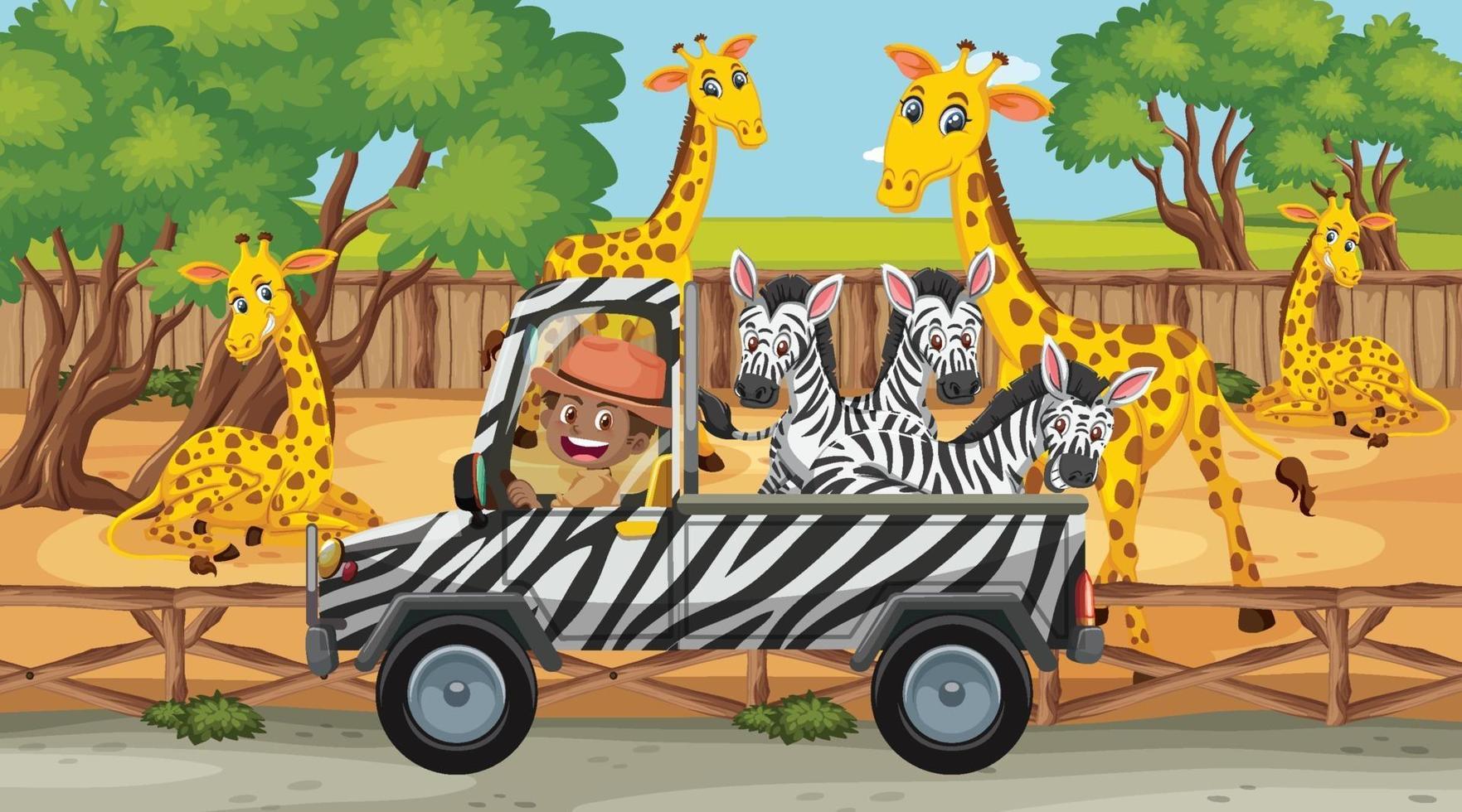 cena de safári com muitas girafas e zebras no caminhão vetor