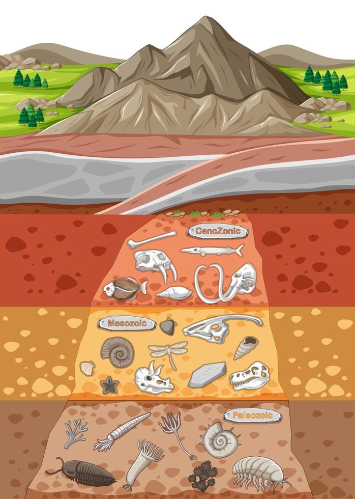 cena com vários ossos de animais e fósseis de dinossauros nas camadas do solo vetor
