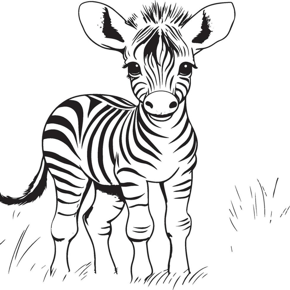 bebê zebra coloração página para crianças vetor