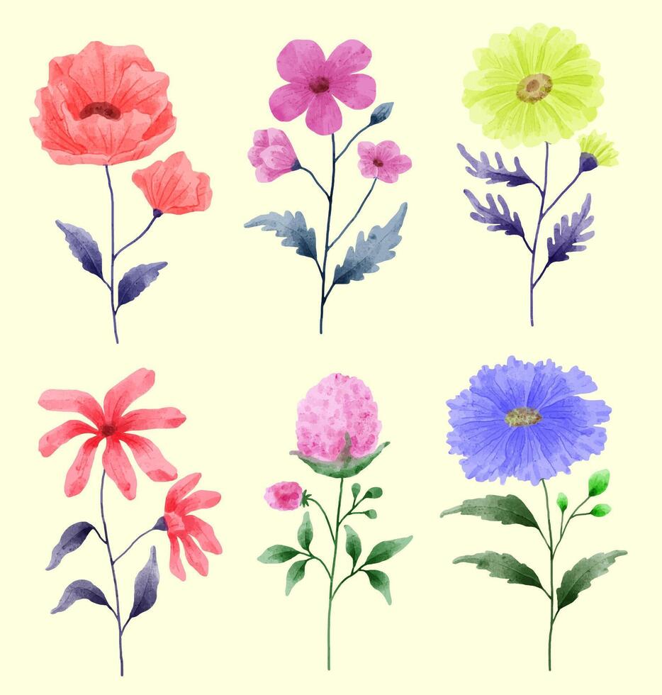 um conjunto de flores pintadas em aquarela para vários cartões e cartões comemorativos. vetor