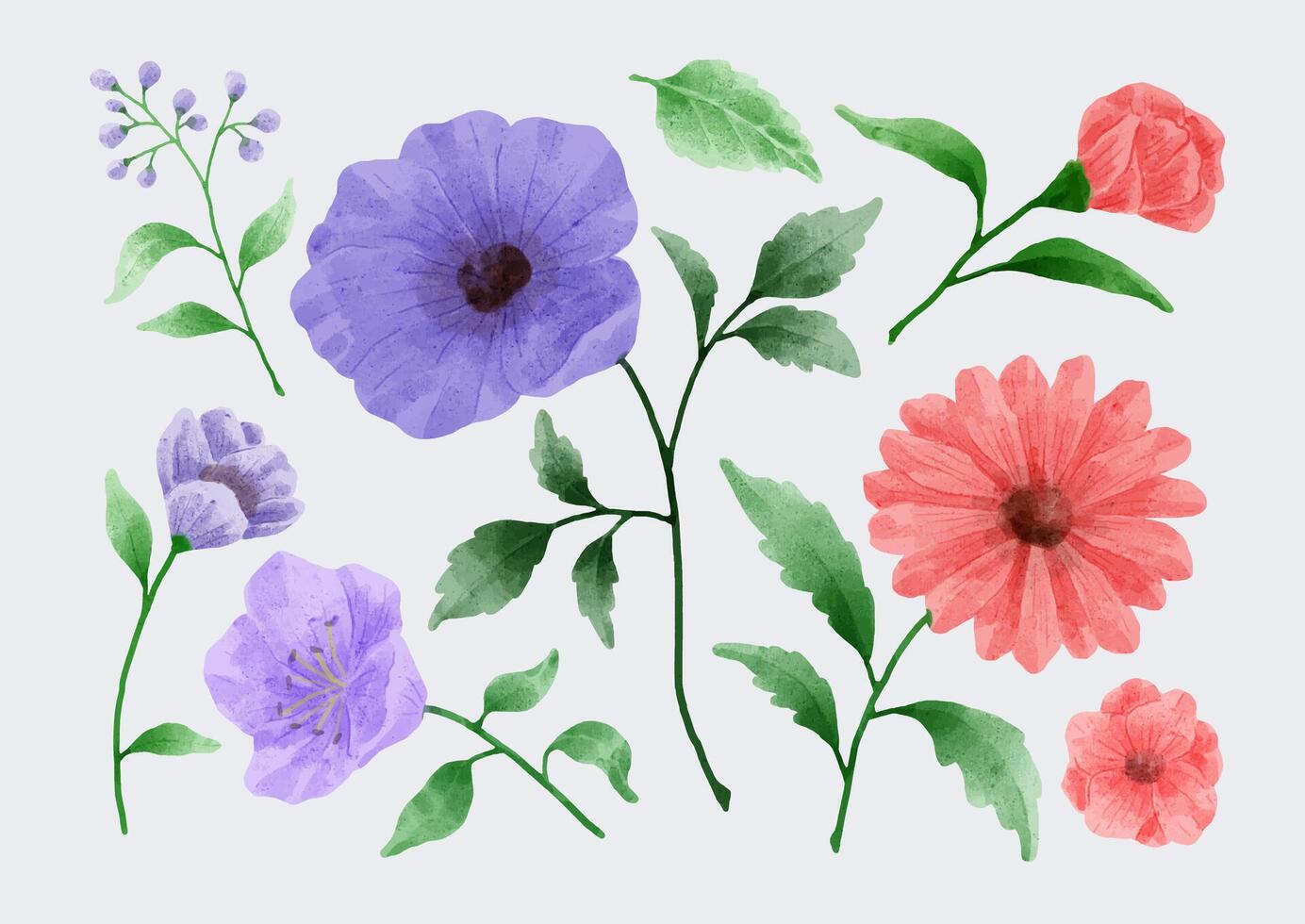 um conjunto de flores pintadas em aquarela para vários cartões e cartões comemorativos. vetor