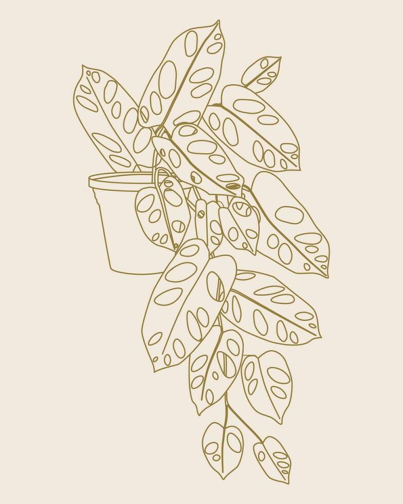 monstera casa plantar linha arte ilustração. escandinavo acolhedor casa decoração silhueta símbolo. plano vetor desenho animado ícone ilustração do casa plantar isolado.