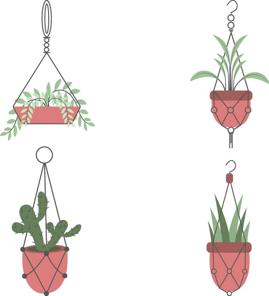 suspensão plantar ilustração definir. isolado em branco fundo. vetor