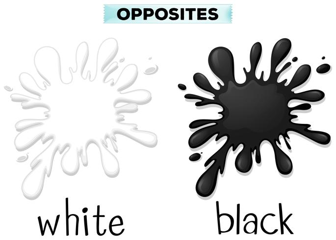 Cores opostas para branco e preto vetor