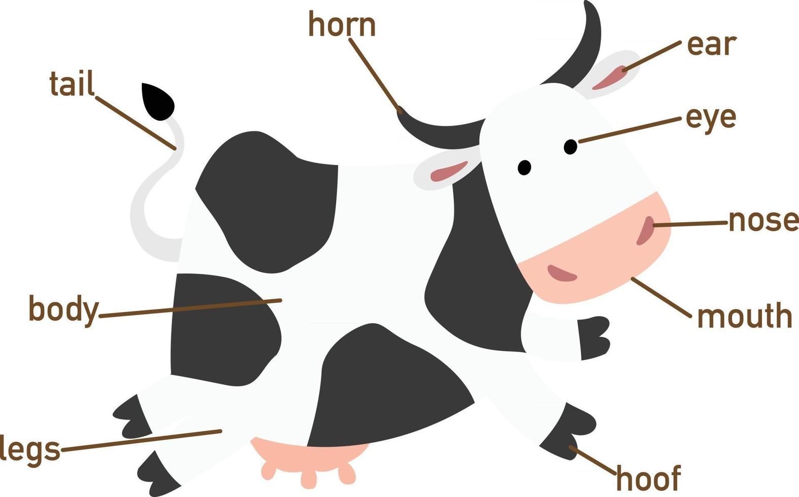 ilustração da parte do vocabulário de vaca do corpo. vetor