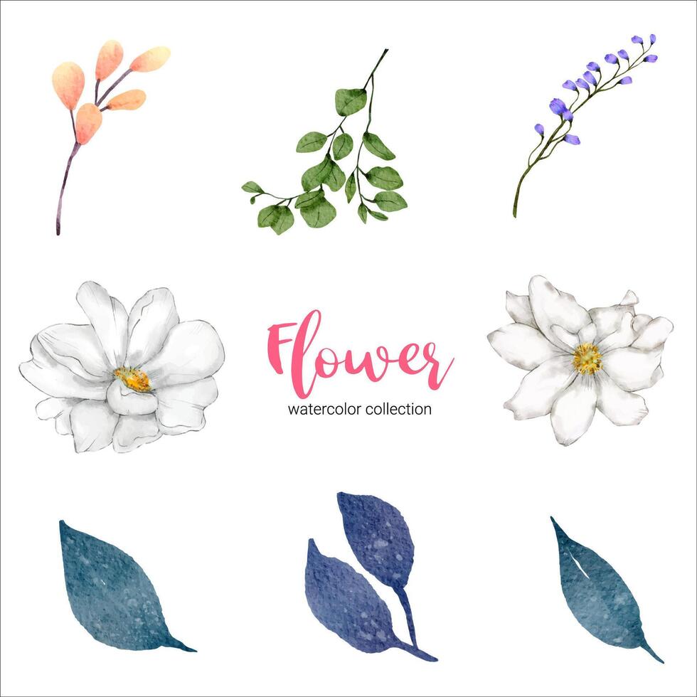 coleção de aquarela ilustração linda flor vetor