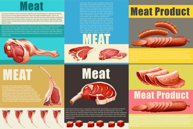 Infográfico com diferentes tipos de carne vetor