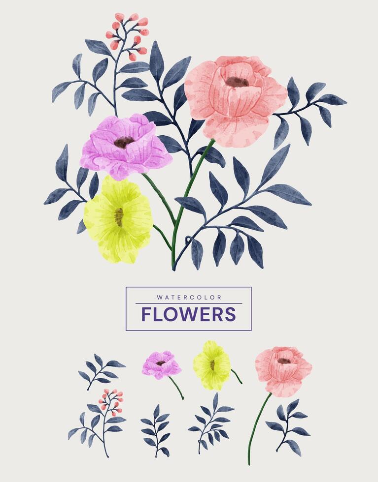 um conjunto de flores pintadas em aquarela para vários cartões e cartões comemorativos. vetor