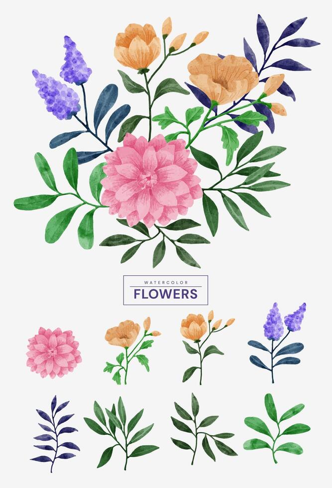 um conjunto de flores pintadas em aquarela para vários cartões e cartões comemorativos. vetor