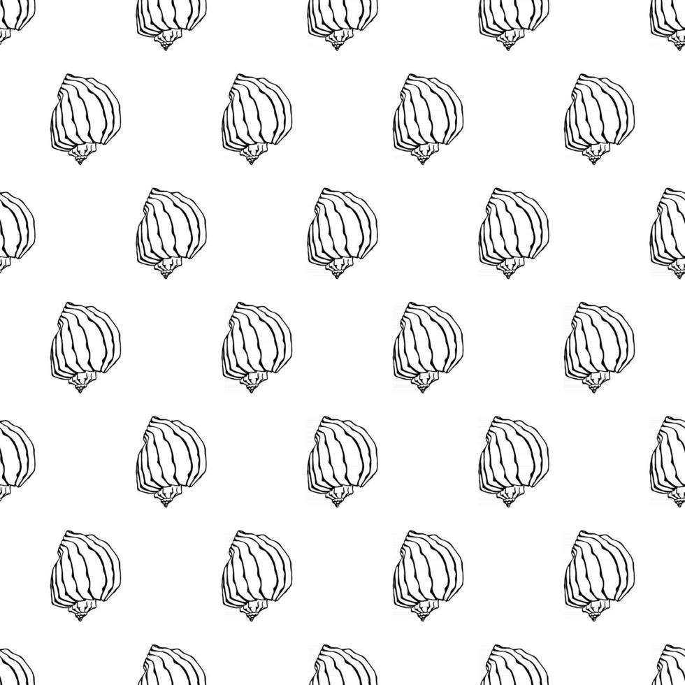 padrão sem emenda com conchas do mar. fundo marinho. mão desenhada ilustração vetorial no estilo de desenho. perfeito para saudações, convites, livros para colorir, têxteis, casamento e web design vetor