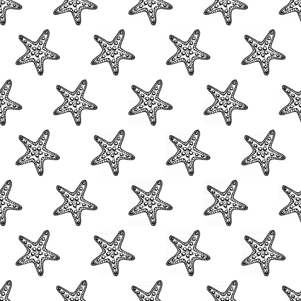 padrão sem emenda com estrelas do mar. fundo marinho. mão desenhada ilustração vetorial no estilo de desenho. perfeito para saudações, convites, livros para colorir, têxteis, casamento e web design vetor