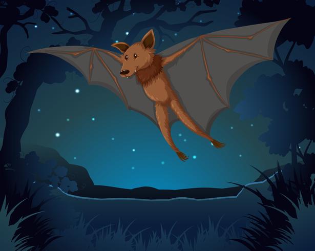 Morcego voando no escuro vetor