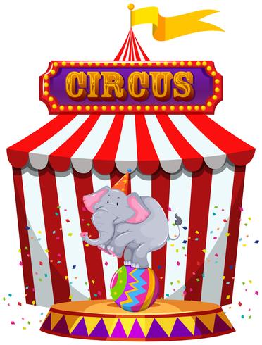 Elefante, executar, infront, de, um, barraca circo vetor