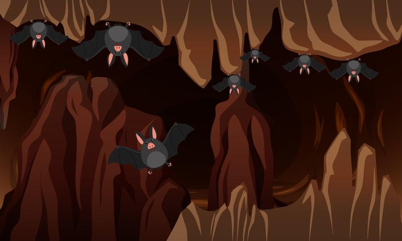 Uma caverna escura de morcegos vetor