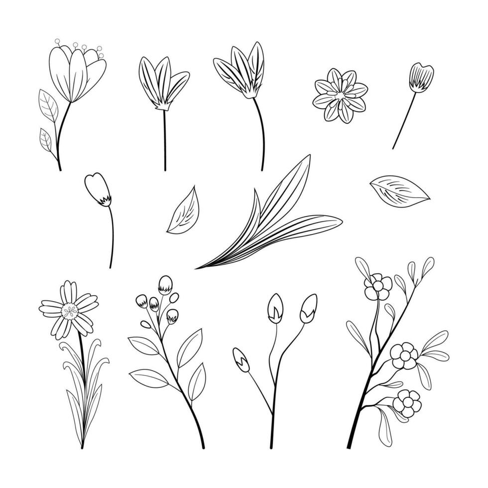 conjunto do mão desenhado rabisco flores dentro linha estilo beleza elegante ilustração decoração vetor