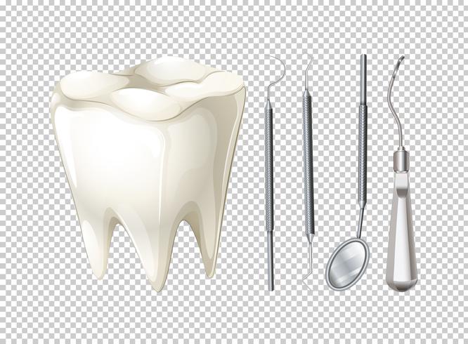 Dente e equipamentos odontológicos vetor