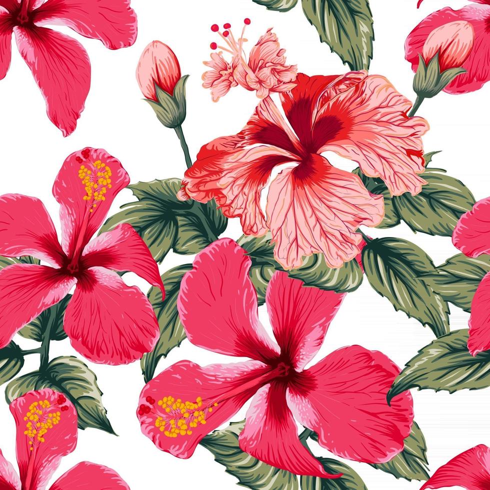 verão tropical sem costura padrão com flores de hibisco vermelho no fundo branco isolado. ilustração vetorial desenho estilo aquarela seco. para projeto de tecido. vetor